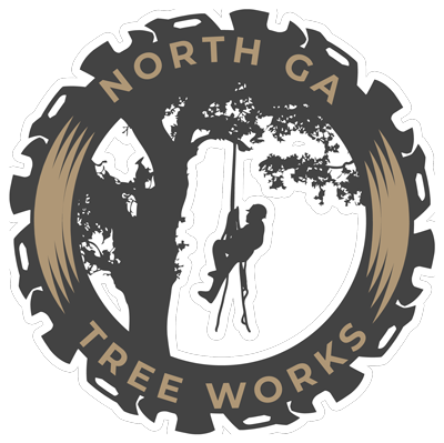 North logo white stroke