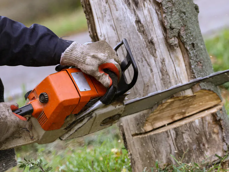 close up of a tree contractor using a chainsaw during tree removal gilmer county ga